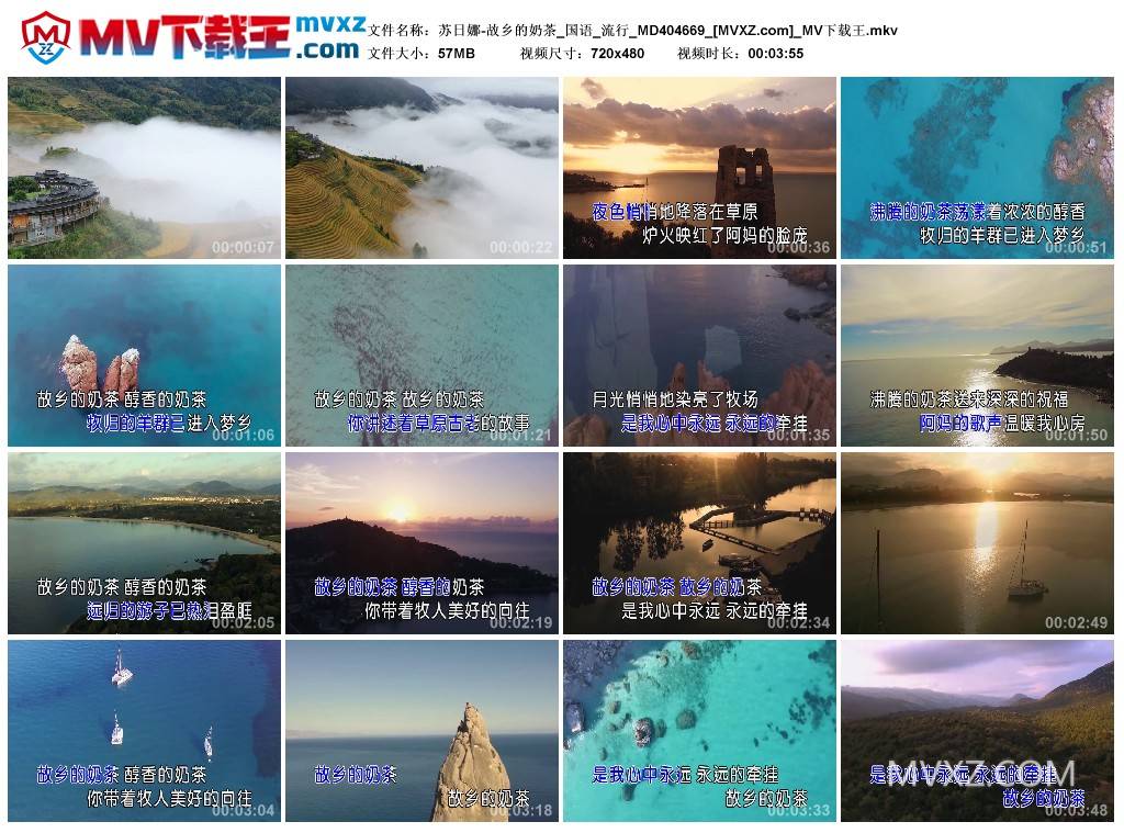 苏日娜-故乡的奶茶_国语_流行_MD404669